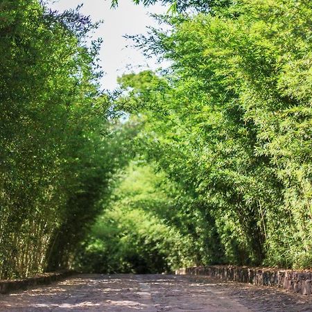 לנסויס Pousada Bosque Do Lapao מראה חיצוני תמונה